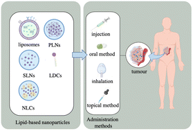 Graphical abstract: Administration methods of lipid-based nanoparticle delivery systems for cancer treatment