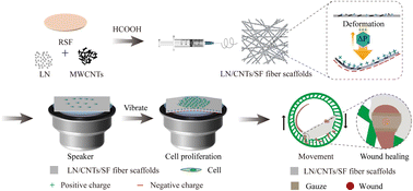 Graphical abstract: Silk fibroin-based piezoelectric nanofibrous scaffolds for rapid wound healing