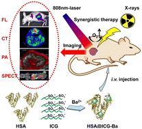 Graphical abstract: A biocompatible nano-barium sulfonate system for quad-modal imaging-guided photothermal radiotherapy of tumors