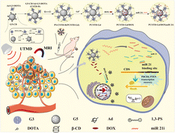 Graphical abstract: Ultrasound-enhanced theranostics of orthotopic breast cancer through a multifunctional core–shell tecto dendrimer-based nanomedicine platform