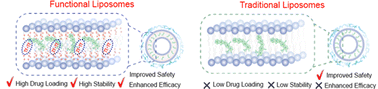 Graphical abstract: Pyridine-appended disulfidephospholipids enable exceptionally high drug loading and stability as a robust liposomal platform