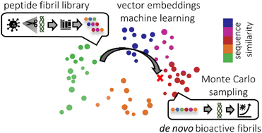 Graphical abstract: Inverse design of viral infectivity-enhancing peptide fibrils from continuous protein-vector embeddings