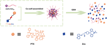 Graphical abstract: Redox-responsive drug-inhibitor conjugate encapsulated in DSPE-PEG2k micelles for overcoming multidrug resistance to chemotherapy