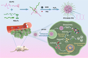 Graphical abstract: pH/GSH dual-responsive supramolecular nanomedicine for hypoxia-activated combination therapy