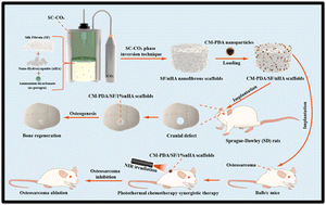 Graphical abstract: Supercritical CO2-assisted fabrication of CM-PDA/SF/nHA nanofibrous scaffolds for bone regeneration and chemo-photothermal therapy against osteosarcoma