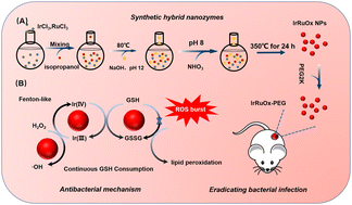 Graphical abstract: Ir(iv) and Ir(iii) in situ transition promotes ROS generation for eradicating multidrug-resistant bacterial infection