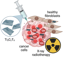 Graphical abstract: X-ray radio-enhancement by Ti3C2Tx MXenes in soft tissue sarcoma