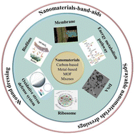 Graphical abstract: Recent advances in nanomaterial-mediated bacterial molecular action and their applications in wound therapy