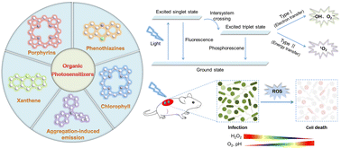 Graphical abstract: Development of organic photosensitizers for antimicrobial photodynamic therapy