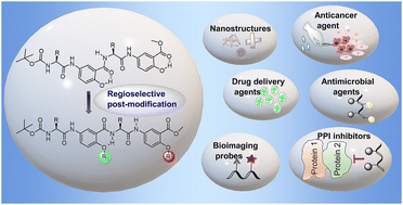 Graphical abstract: Site-selective post-modification of short α/γ hybrid foldamers: a powerful approach for molecular diversification towards biomedical applications