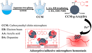 Graphical abstract: Electron beam irradiation modified carboxymethyl chitin microsphere-based hemostatic materials with strong blood cell adsorption for hemorrhage control
