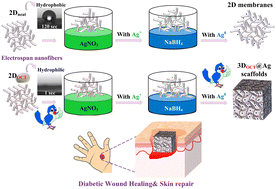 Graphical abstract: A facile one-stone-two-birds strategy for fabricating multifunctional 3D nanofibrous scaffolds