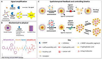 Graphical abstract: MMP-responsive nanomaterials