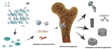 Graphical abstract: Recent advances in the application and biological mechanism of silicon nitride osteogenic properties: a review