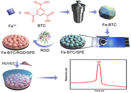 Graphical abstract: An Fe-organic framework/arginine–glycine–aspartate peptide-modified sensor for electrochemically detecting nitric oxide released from living cells