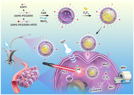 Graphical abstract: MnO2/Ce6 microbubble-mediated hypoxia modulation for enhancing sono-photodynamic therapy against triple negative breast cancer