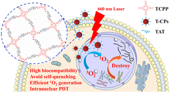 Graphical abstract: Carbon network-hosted porphyrin as a highly biocompatible nanophotosensitizer for enhanced photodynamic therapy