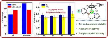 Graphical abstract: Cationic N,S-chelate half-sandwich iridium complexes: synthesis, characterization, anticancer and antiplasmodial activity