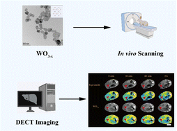 Graphical abstract: Tungsten-based nanoparticles as contrast agents for liver tumor detection using dual-energy computed tomography