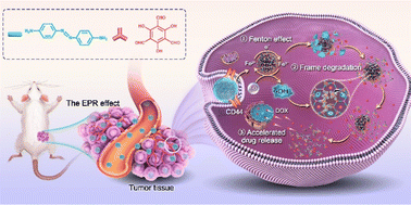 Graphical abstract: Biodegradable covalent organic frameworks achieving tumor micro-environment responsive drug release and antitumor treatment