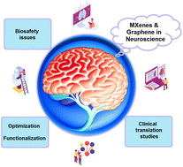 Graphical abstract: Graphene- and MXene-based materials for neuroscience: diagnostic and therapeutic applications