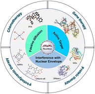 Graphical abstract: Research progress in nucleus-targeted tumor therapy