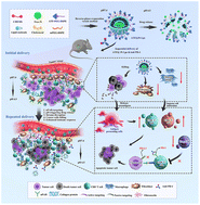 Graphical abstract: Stromal and tumor immune microenvironment reprogramming through multifunctional cisplatin-based liposomes boosts the efficacy of anti-PD-1 immunotherapy in pancreatic cancer