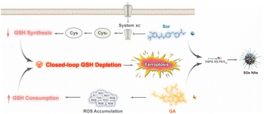 Graphical abstract: Self-engineered binary nanoassembly enabling closed-loop glutathione depletion-amplified tumor ferroptosis