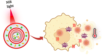 Graphical abstract: Near-infrared light activatable niosomes loaded with indocyanine green and plasmonic gold nanorods for theranostic applications