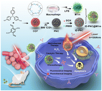 Graphical abstract: A covalent organic framework-derived M1 macrophage mimic nanozyme for precise tumor-targeted imaging and NIR-II photothermal catalytic chemotherapy