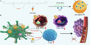 Graphical abstract: Dual-responsive PEG–lipid polyester nanoparticles for siRNA and vaccine delivery elicit anti-cancer immune responses by modulating tumor microenvironment
