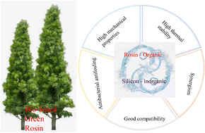 Graphical abstract: From rosin to novel bio-based silicone rubber: a review