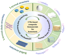 Graphical abstract: Progress and future prospects of hemostatic materials based on nanostructured clay minerals