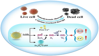 Graphical abstract: Bimetallic nanoplatform for synergistic sonodynamic-calcium overload therapy utilizing self-supplied hydrogen peroxide and relieved hypoxia