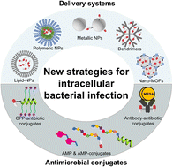 Graphical abstract: Strategies for the eradication of intracellular bacterial pathogens