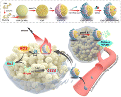 Graphical abstract: Amphiphilic Janus nanoparticles for nitric oxide synergistic photodynamic eradication of MRSA biofilms