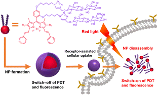 Graphical abstract: Red fluorescent BODIPY-based nanoparticles for targeted cancer imaging-guided photodynamic therapy