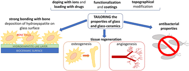 Graphical abstract: Tailoring of bioactive glass and glass-ceramics properties for in vitro and in vivo response optimization: a review