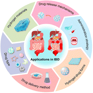 Graphical abstract: Advancements in hydrogel-based drug delivery systems for the treatment of inflammatory bowel disease: a review