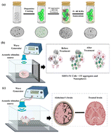 Graphical abstract: Futuristic Alzheimer's therapy: acoustic-stimulated piezoelectric nanospheres for amyloid reduction