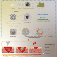 Graphical abstract: One-pot reaction for the preparation of diatom hemostatic particles with effective hemostasis and economic benefits
