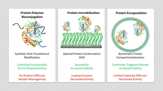 Graphical abstract: Protein–polymer bioconjugation, immobilization, and encapsulation: a comparative review towards applicability, functionality, activity, and stability