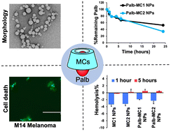 Graphical abstract: Enhancing drug delivery with supramolecular amphiphilic macrocycle nanoparticles: selective targeting of CDK4/6 inhibitor palbociclib to melanoma