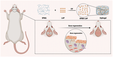 Graphical abstract: A nanoparticle reinforced microporous methacrylated silk fibroin hydrogel to promote bone regeneration