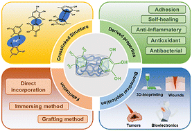 Graphical abstract: Gallic acid: design of a pyrogallol-containing hydrogel and its biomedical applications