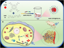 Graphical abstract: Sorafenib and tetrakis (4-carboxyphenyl) porphyrin assembled nanoparticles for synergistic targeted chemotherapy and sonodynamic therapy of hepatocellular carcinoma