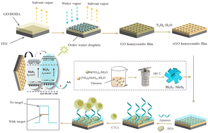 Graphical abstract: A photoelectrochemical cytosensor based on a Bi2S3–MoS2 heterojunction-modified reduced oxide graphene honeycomb film for sensitive detection of circulating tumor cells