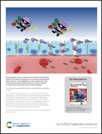 Graphical abstract: Back cover