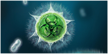Graphical abstract: Screening under infection-relevant conditions reveals chemical sensitivity in multidrug resistant invasive non-typhoidal Salmonella (iNTS)