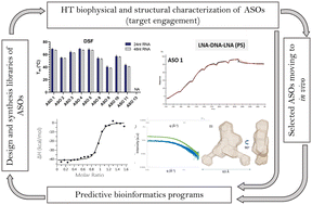 Graphical abstract: An enhanced biophysical screening strategy to investigate the affinity of ASOs for their target RNA